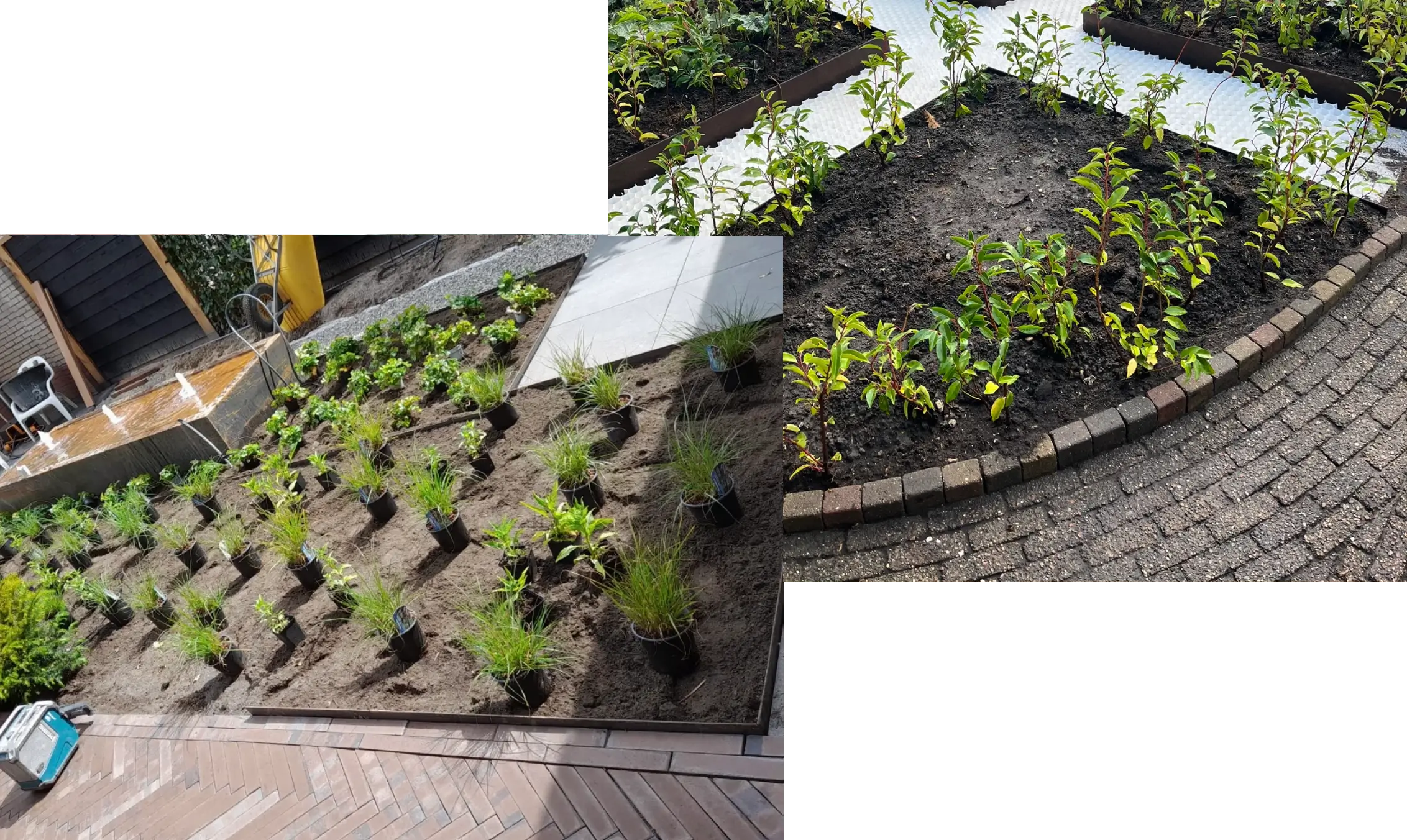 beplanting van een tuin