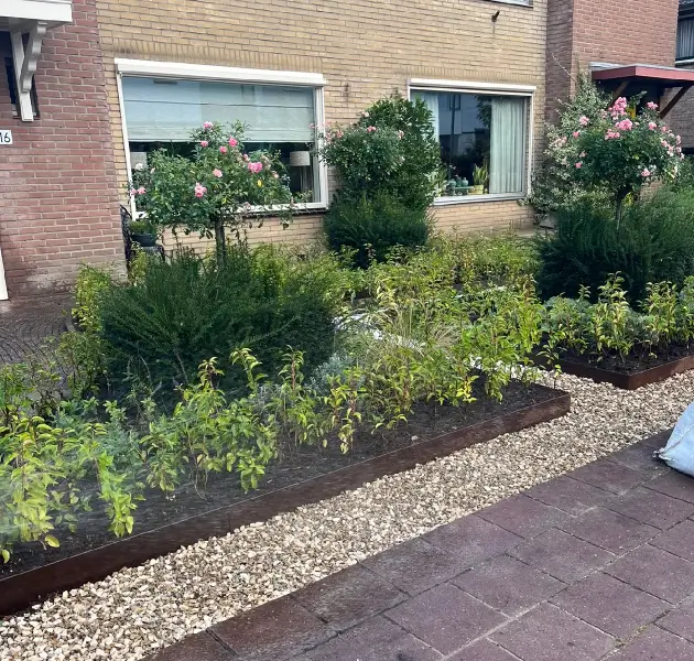 Planten in een voortuin