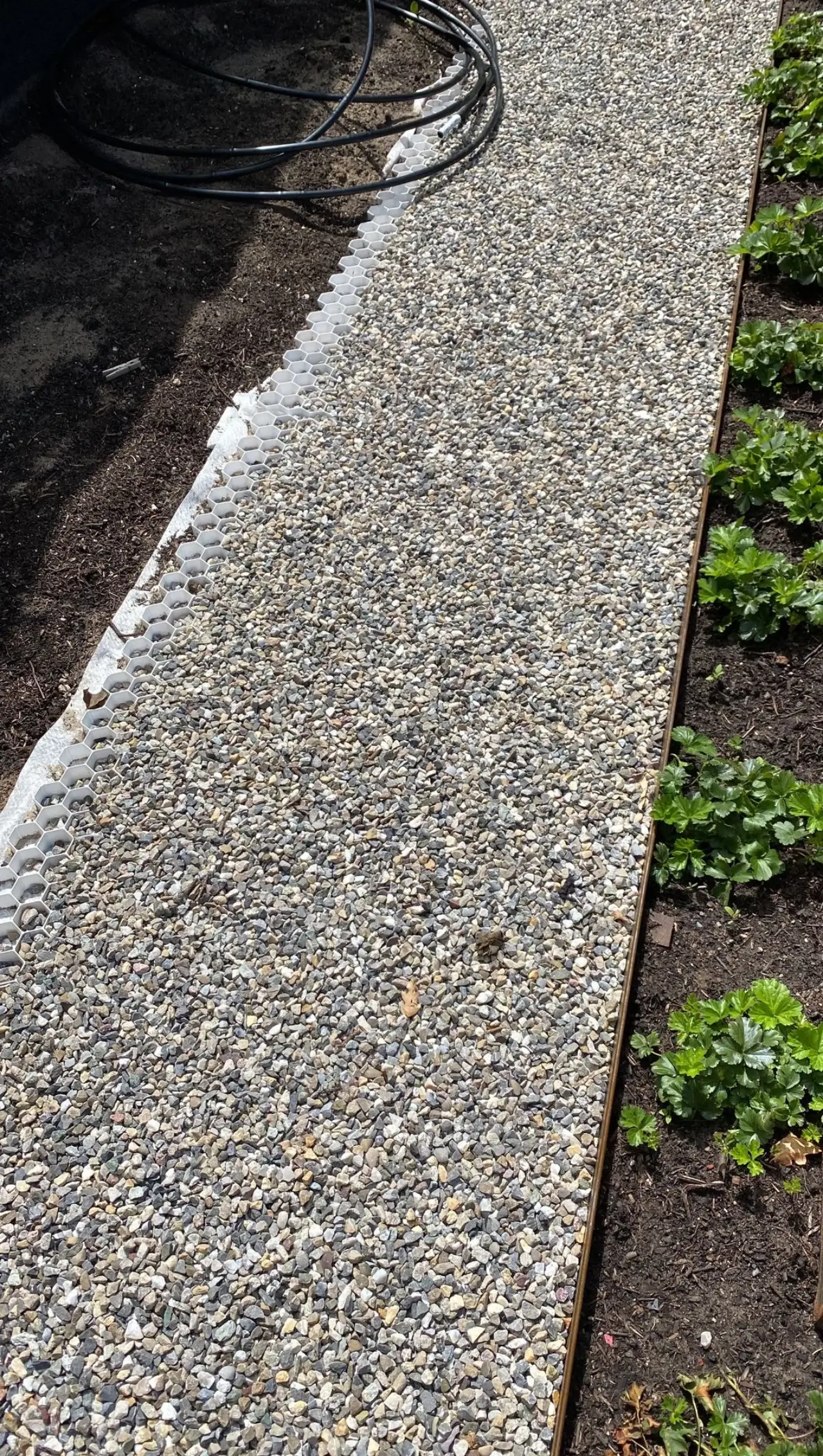 Grindpad met planten