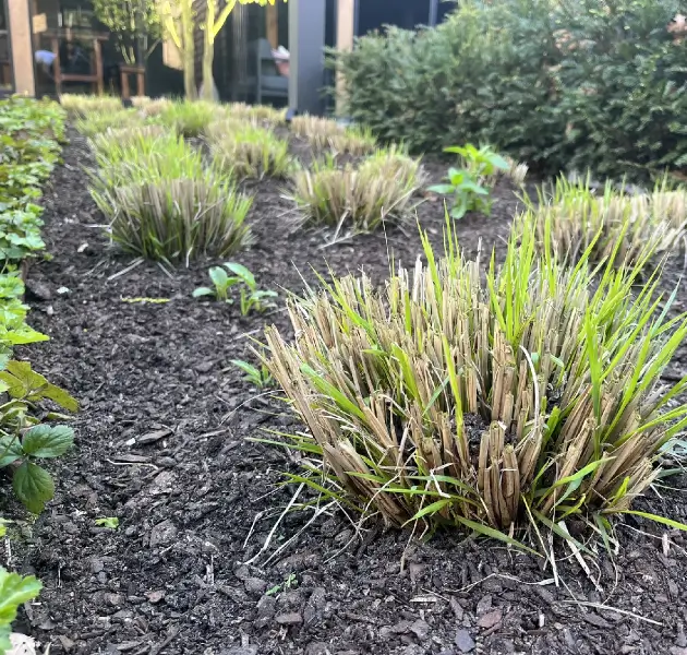 Onderhouden van een tuin