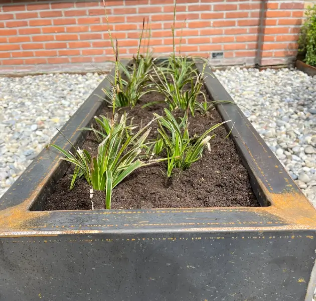 Onderhoud aan plantenbak in voortuin